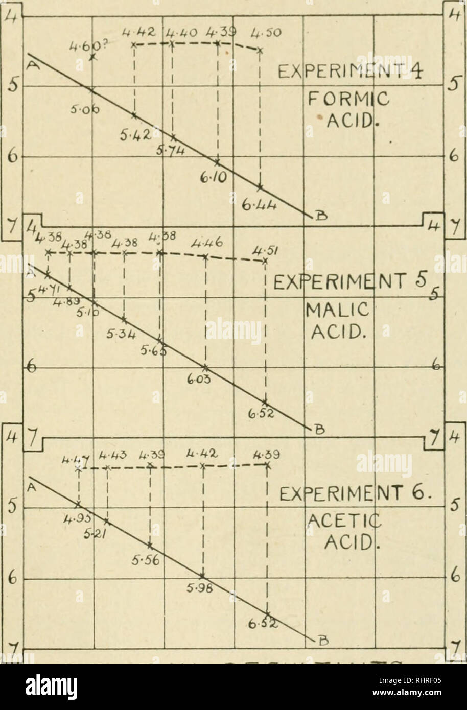 . The Biochemical journal, 1917. Biochemistry. GROWTH OF ANAEROBIC BACTERIA IN ACID MEDIA 227 The most acid tubos to forment were Nos. 7, Series B and C, with value ^H = 4.71. The next set of tuhos, with P^^ =- 4-GO, failed to ferment.. REACTION RESULTANTS. B. PERFRINGFN5 on 5^% GLUCOSE-PEPTONE. Fig. 4 Experiment No. 6 (Laboratory Experiment R. S. 13). Acetic acid. Data (see also Fig. 4). Series A. Inoculated with K 120 (twenty-four hours old on cooked meat). Series B. Inoculated with K 121 (twenty-four hours old on cooked meat). The tubes were examined seventy-two hours after inoculation.. Pl Stock Photo