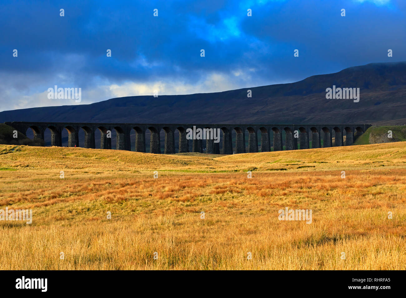 Ribblehead Viaduct and Whernside, North Yorkshire Stock Photo