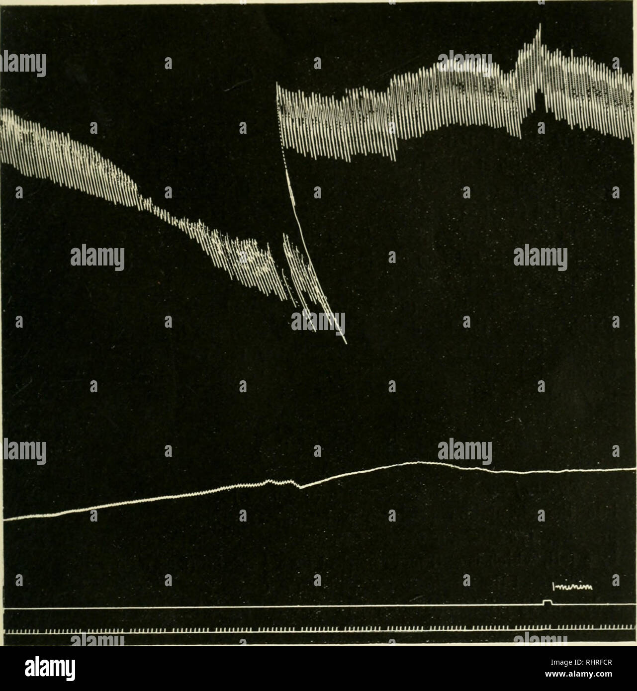 The Biochemical Journal 1912 Biochemistry Kxpekiments On I Ll Ysk Gt L Gy Of Allyl Compounds 1 Wl I L Ih V Ini Klv In N Msr L Almost But Not Quite Reaching Their Initial Np Il Ul Quot I Tlu Rjotl So On L At