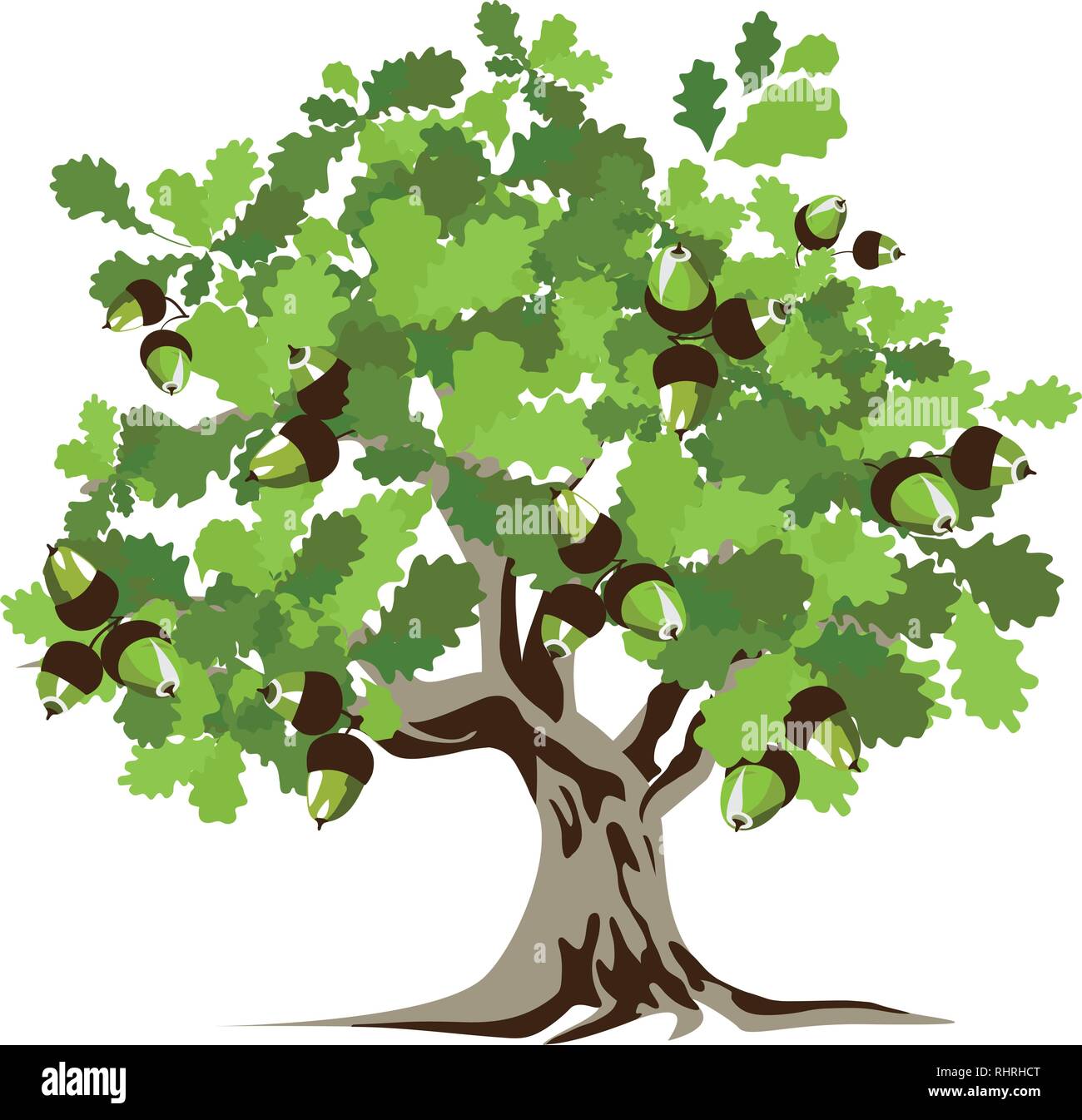 Big green, oak tree, white background, vector illustration Stock Vector