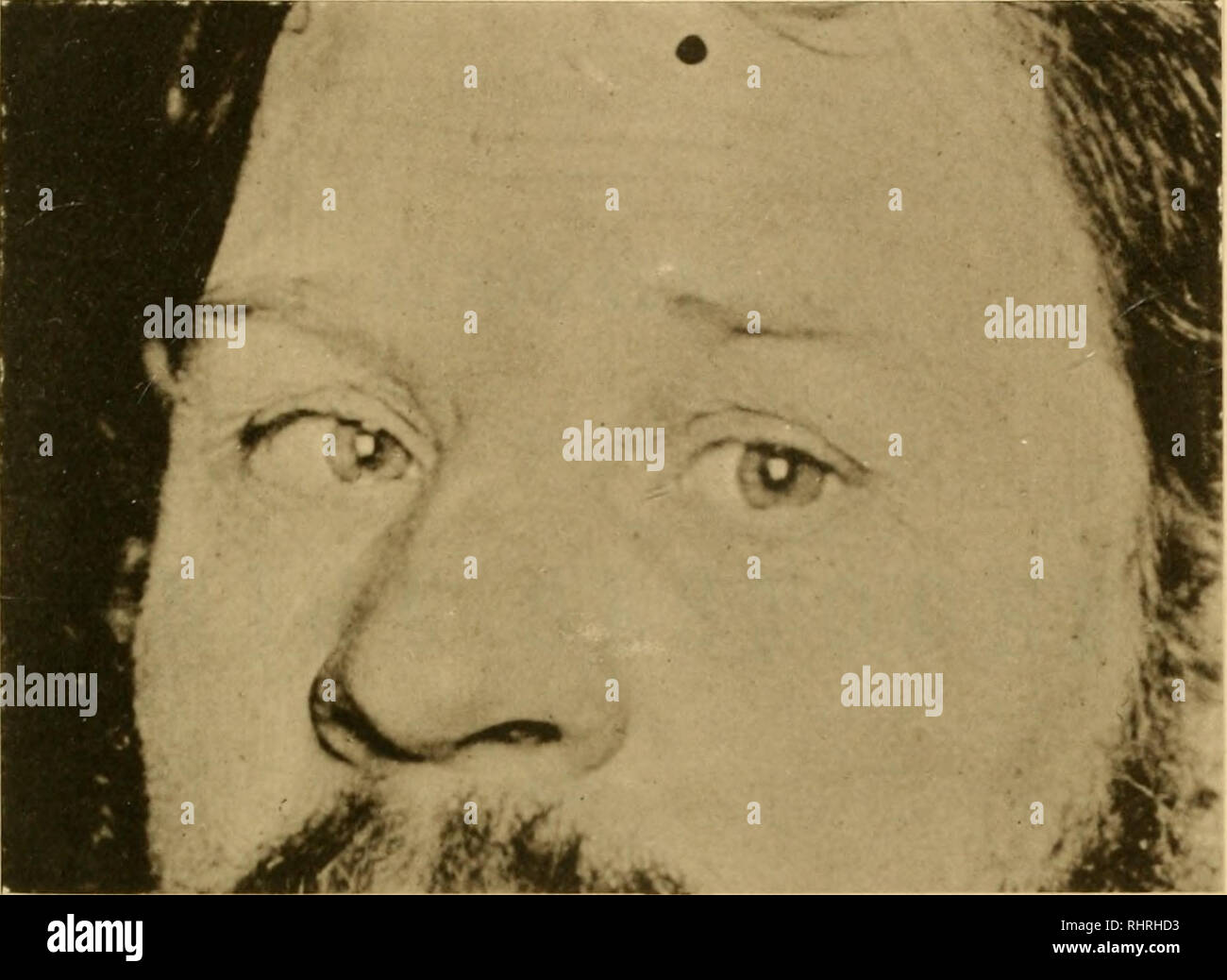 Bihang Till Kongl Svenska Vetenskaps Akademiens Handlingar Science Botany Bihangtilik Vetakad Nandl Bandb Afd Iv N S Bild 28 Ihlw Bildae Please Note That These Images Are Extracted From Scanned Page Images That May Have Been Digitally alamy