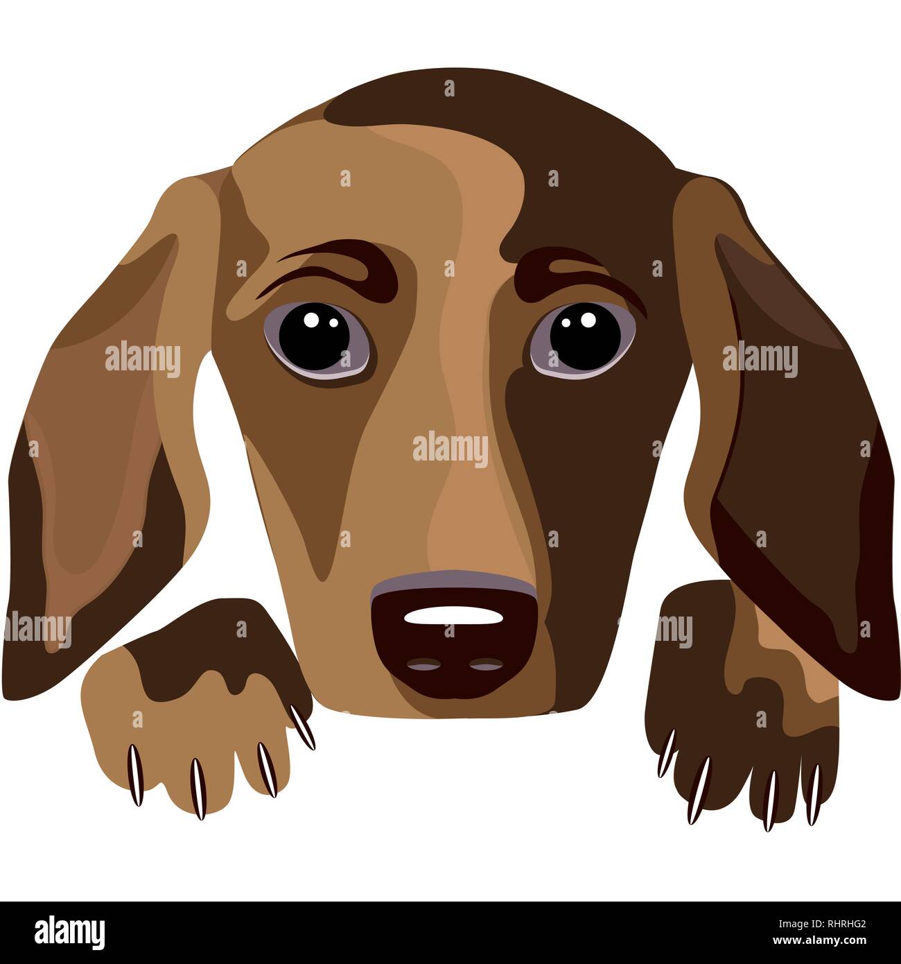 Futuristic brown dog, stylized dachshund, portrait of dog, white background, vector illustration Stock Vector