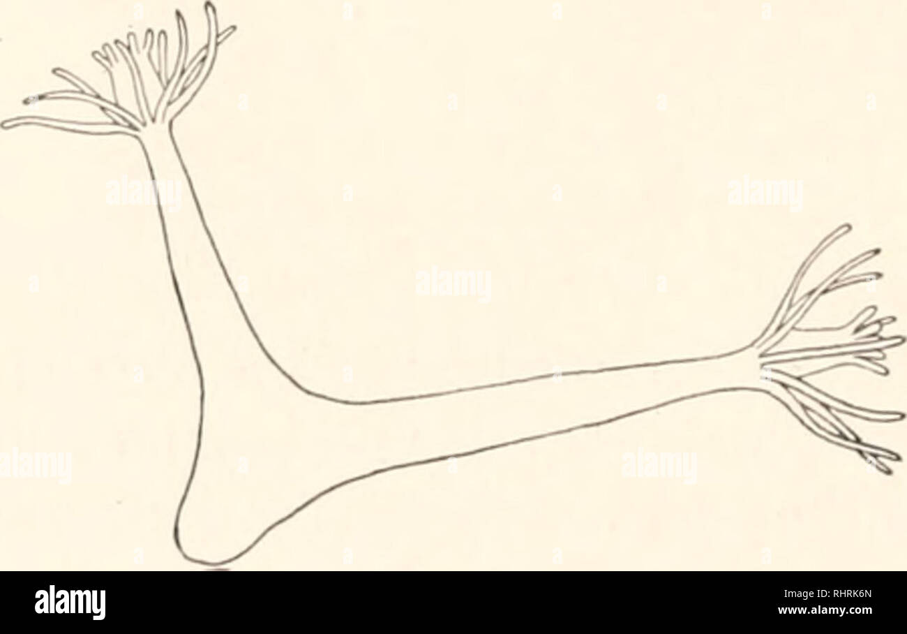 pièces détachés vélo