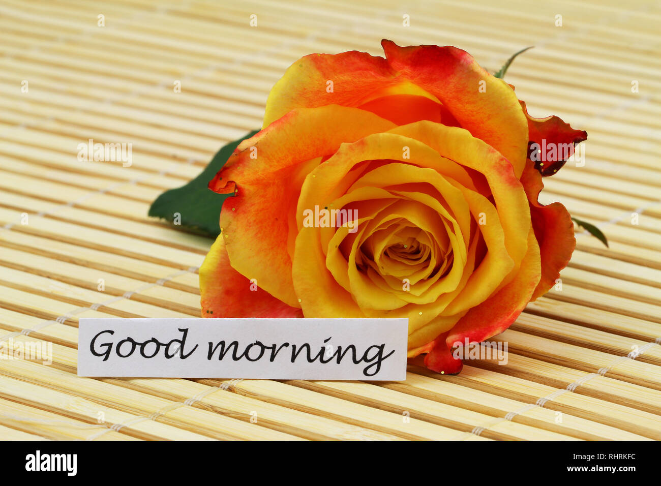 Hello good morning hi-res stock photography and images - Alamy