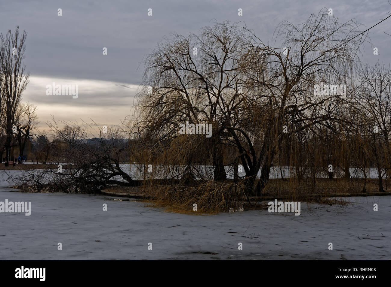 IOR park in Bucharest, Romania, after a bad spell of freezing rain Stock Photo