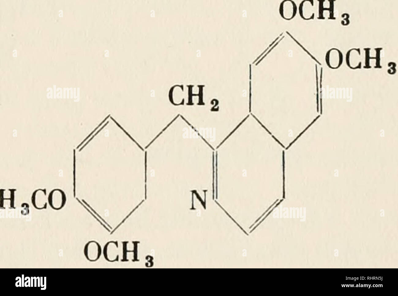 Biochemie Der Pflanzen Plant Physiology Botanical Chemistry