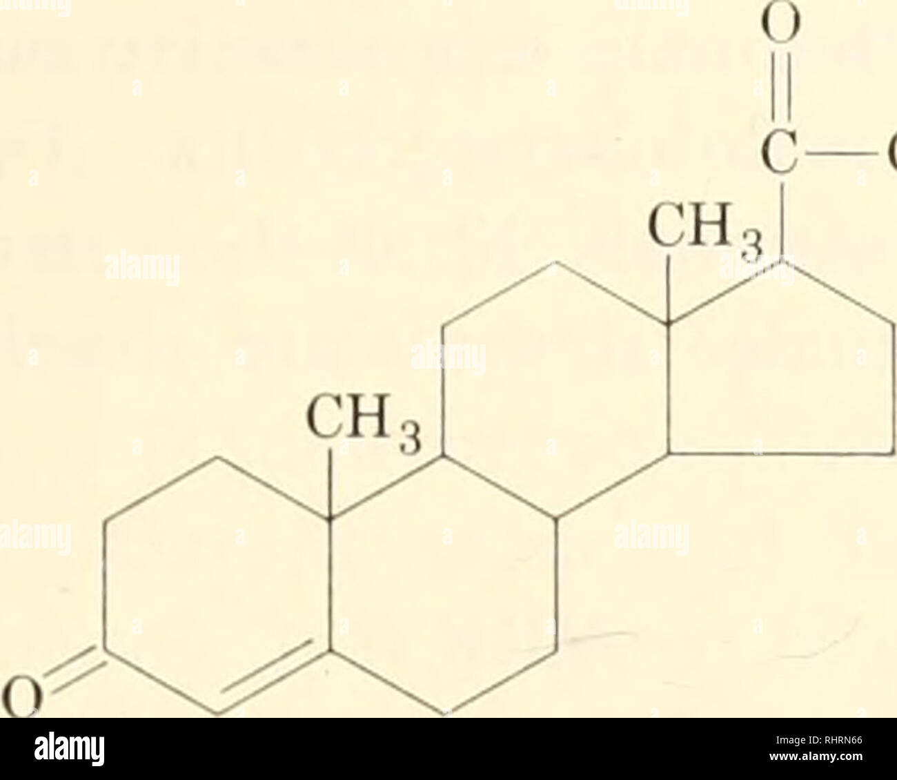 . Biochemistry of plants and animals, an introduction. Biochemistry. BODY TISSUES 323. CH., progesterone Stilbestrol is a synthetic estrogen derived from stilbene (C^Hj-CH : CH-CcHr,). It is not chemically related to the natural estrogens, but the diethyl derivative is about three times as potent as estrone. This compound has found wide use in modern medical practice as a supple- ment to the natural supply of estrogens. C,H5 HO- -C=C-/ -OH C2H5 dietliylslilbestrol Many plants contain estrogenic substances in varying quantities which may be factors in the growth of animals. The administration Stock Photo