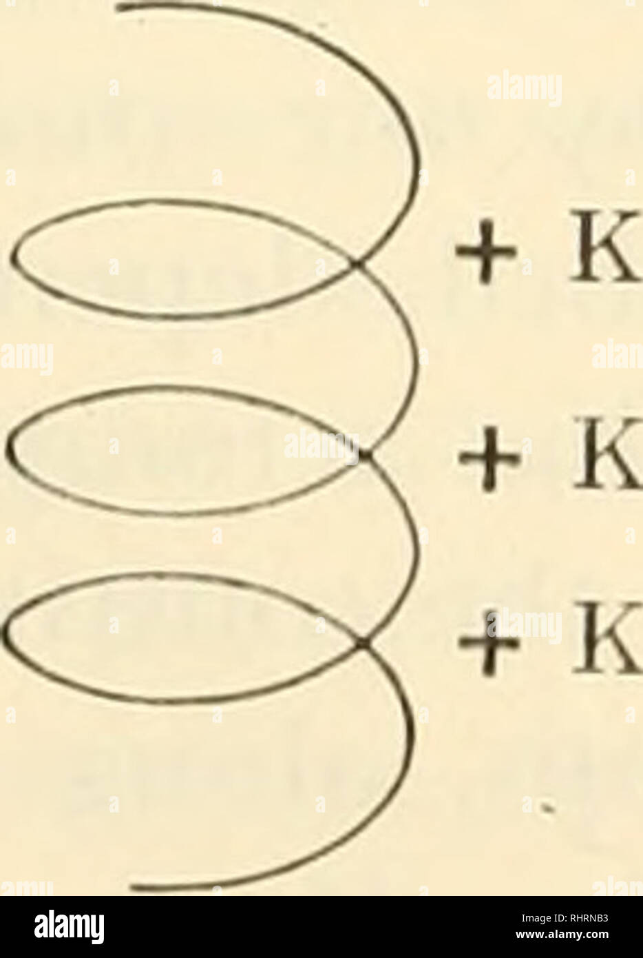 Biochemistry of plants and animals, an introduction. Biochemistry 