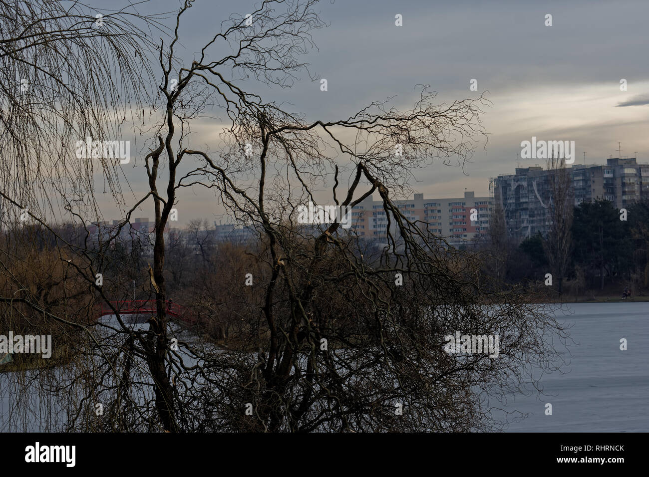 IOR park in Bucharest, Romania, after a bad spell of freezing rain Stock Photo