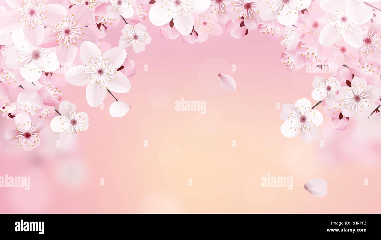 Beautiful Print With Blossoming Light Pink Sakura Flowers With