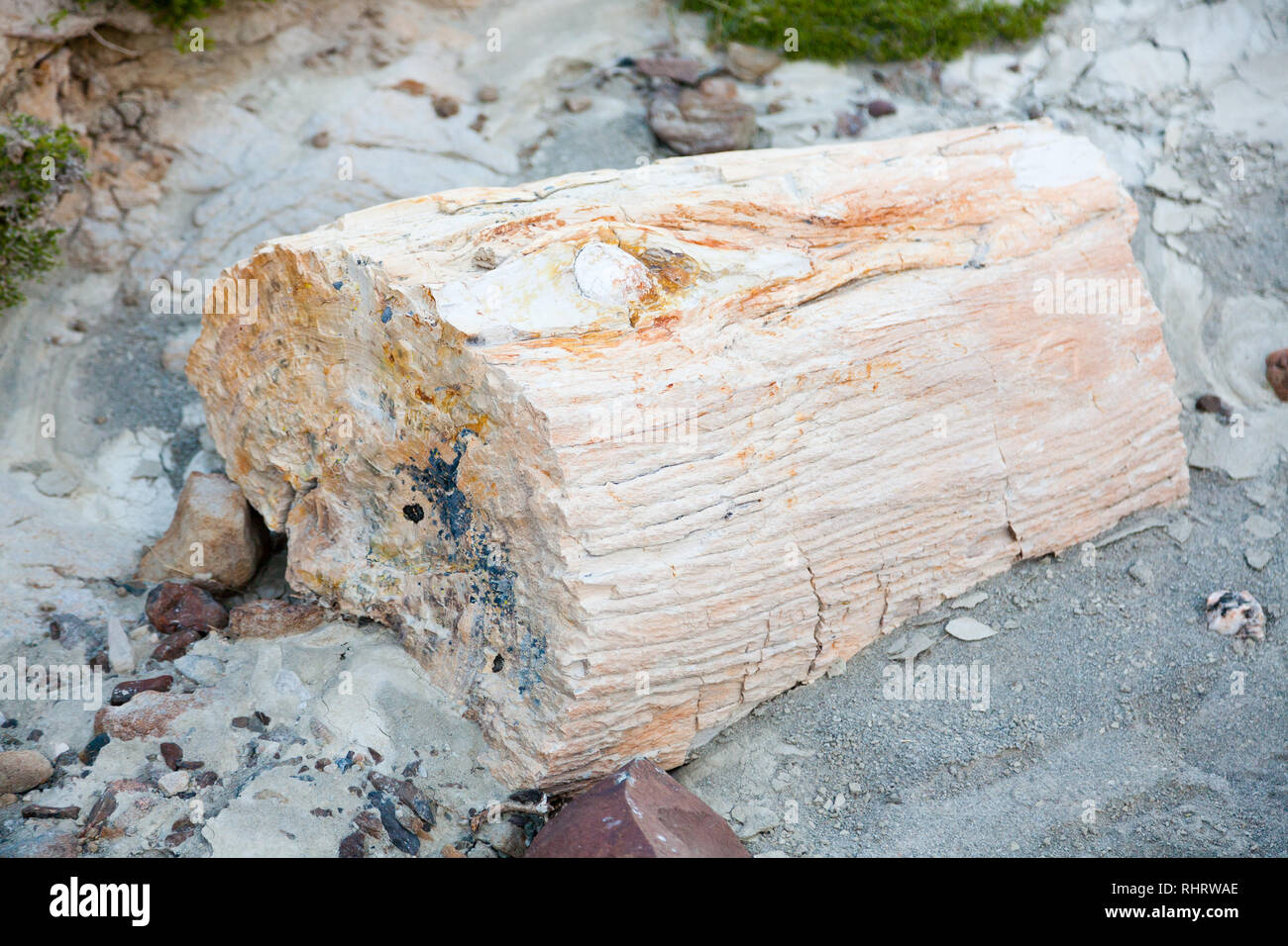 La Leona petrified forest view, Patagonia, Argentina. Road to El