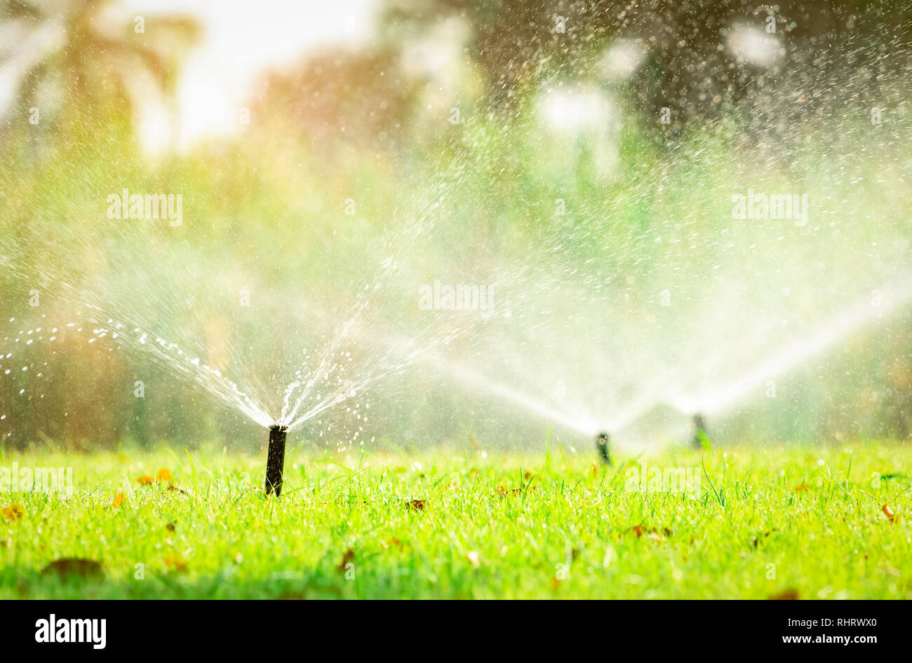 Automatic lawn sprinkler watering green grass. Sprinkler with automatic