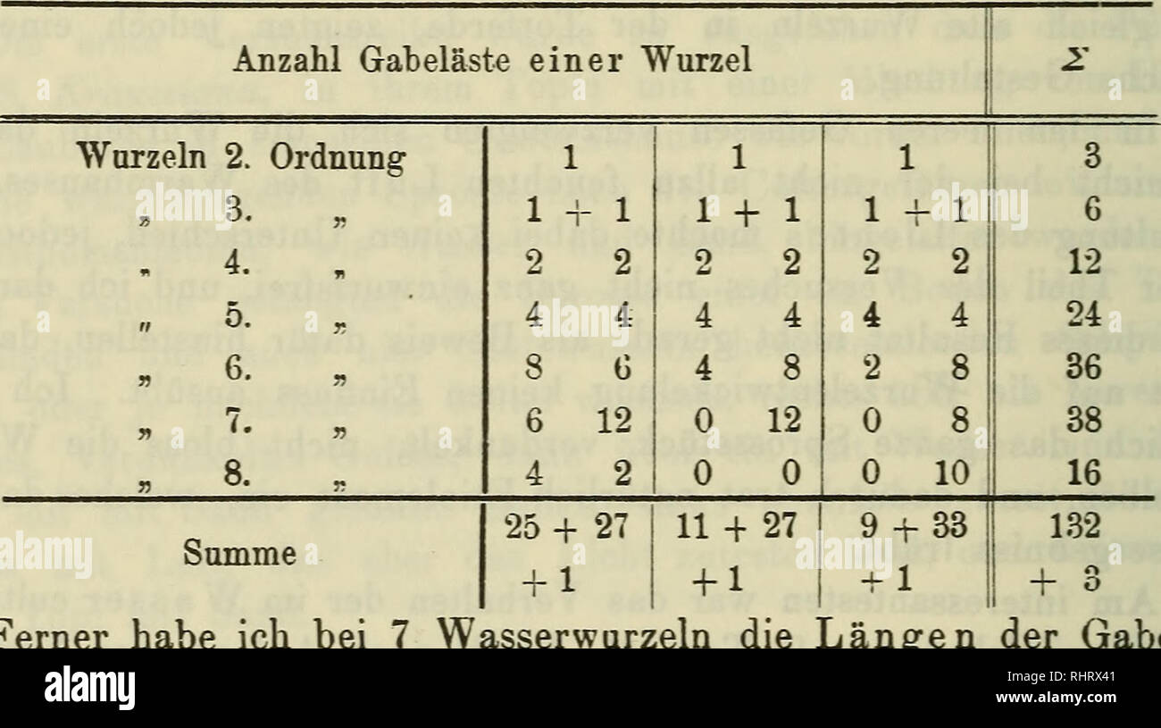 . Berichte der Deutschen Botanische Gesellschaft. Botany; Botany. Georg F. L. Sarauw: lang und eher dicker wie im Boden1): sie zeigen hier wie dort die ver- schiedenen, auch von anderen Pflanzen bekannten Formen, indem sie schlauchförmig, keulenförmig, geschlängelt, an der Spitze zu einer Blase angeschwollen oder sogar, jedoch selten, gabelig verzeigt sind. Die Wurzeln machten einen ganz gesunden Eindruck, die Haare waren unversehrt, nicht geplatzt, am Scheitel mit der gewöhnlichen Wand verdickung versehen. An einer der am reichlichsten verzweigten Wurzeln, die etwa ein halbes Jahr alt gewesen Stock Photo