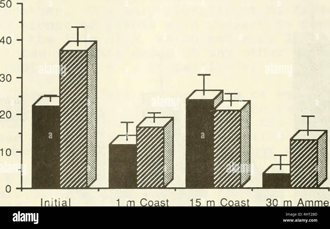 . Benthic productivity and marine resources of the Gulf of Maine. Marine biology -- Maine, Gulf of; Primary productivity (Biology). CM D) =1 CO &quot;&gt;&gt; .c Q. O  o O. Ammen Cc *»al Initia 1 m Coast 15 m Coast 30 m Ammen Figure 9. Chlorophyll a content of initial and transplanted Ammen and coastal Laminaria . Bars denote 95% confidence limits of mean (n=3). o Q. O o O. Please note that these images are extracted from scanned page images that may have been digitally enhanced for readability - coloration and appearance of these illustrations may not perfectly resemble the original work.. Un Stock Photo