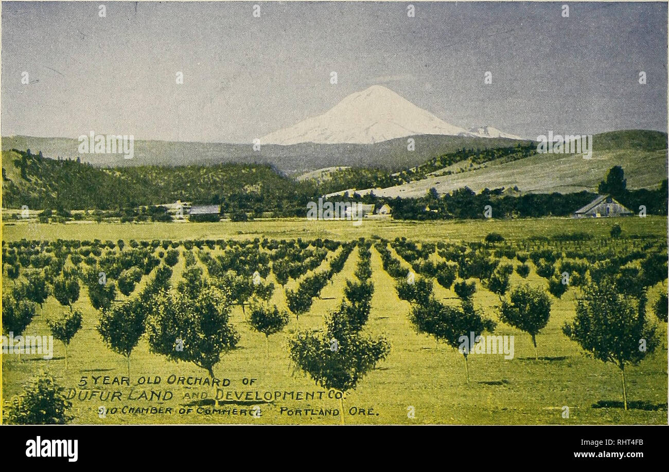 Old acre development company hires stock photography and images Alamy