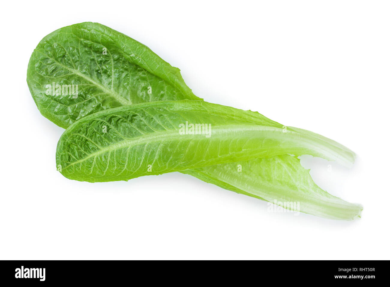 fresh roman cos lettuce isolated on a white background. Top view. Flat lay Stock Photo