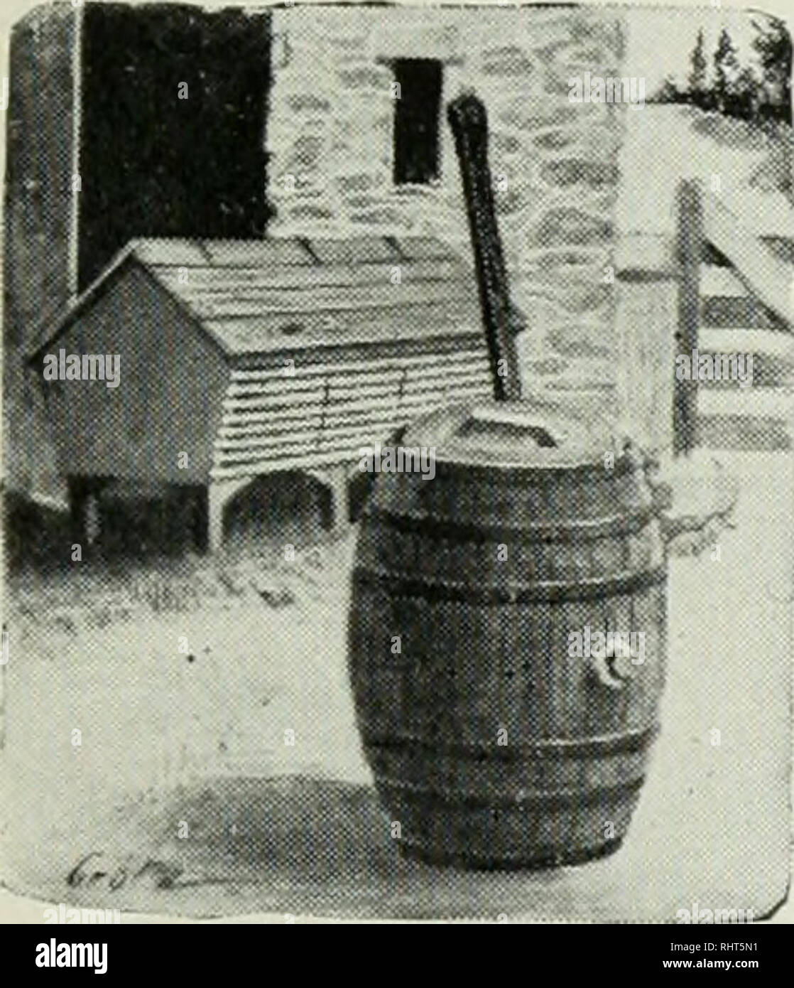 Pig swill hires stock photography and images Alamy