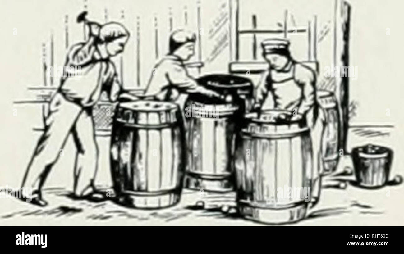 Coreless apple hires stock photography and images Alamy