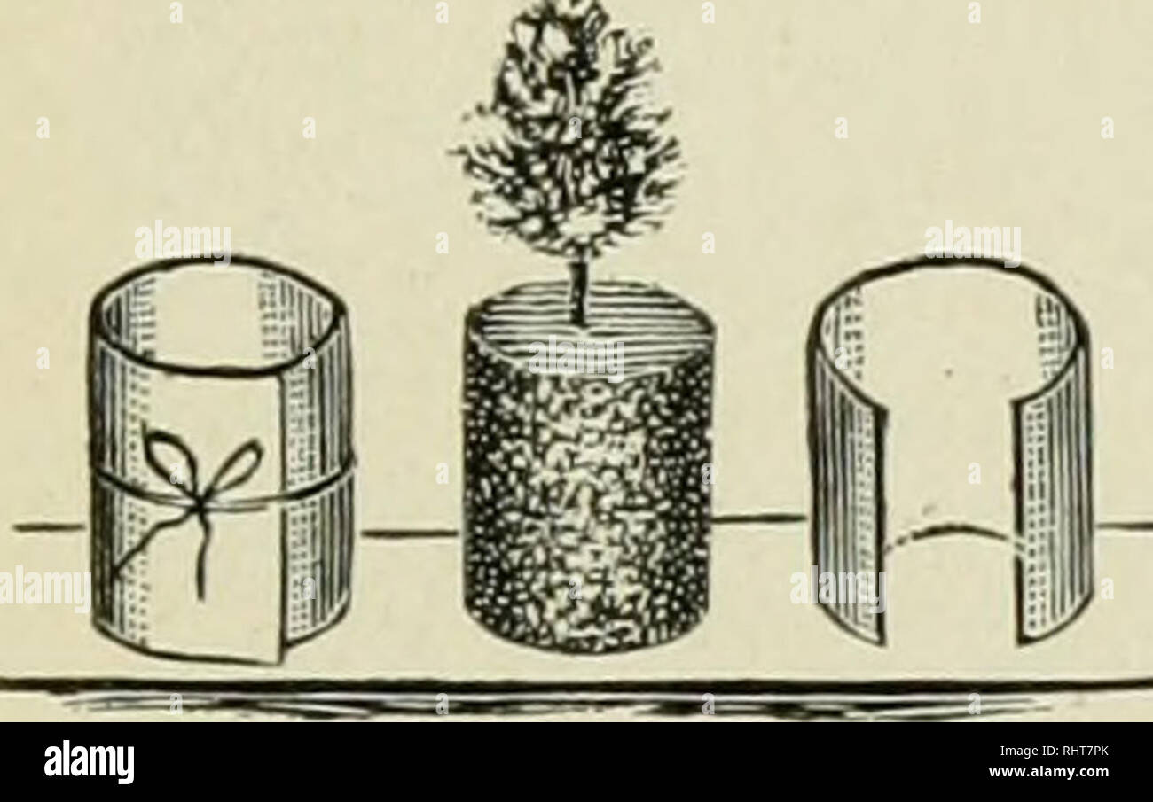 Biggle Garden Book Vegetables Small Fruits And Flowers For