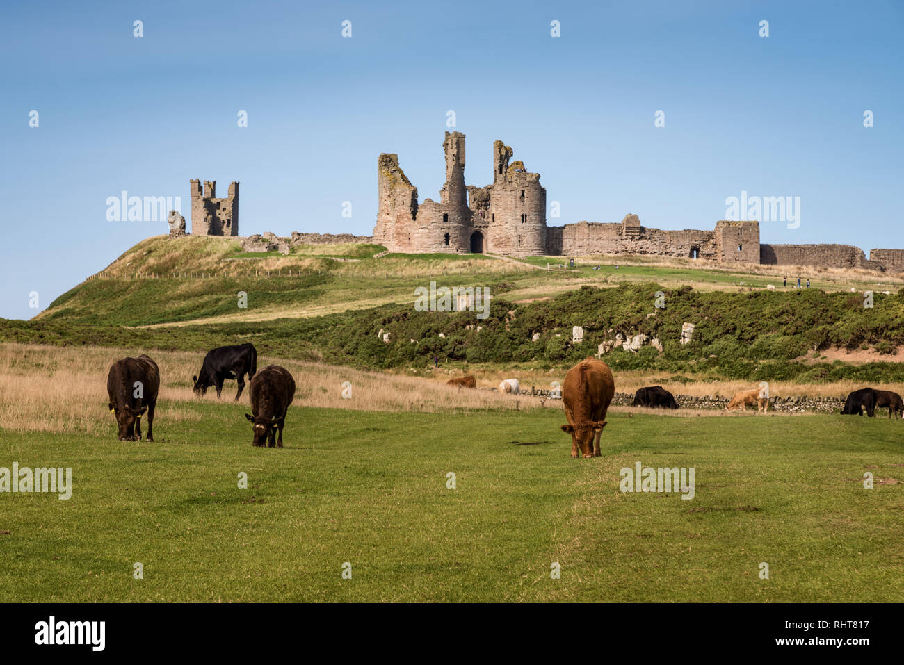 Dunstanburgh Castle, Northumberland, UK Stock Photo