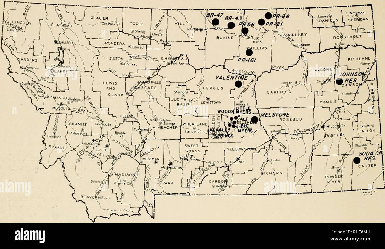 . Biennial report of the Montana Fish and Game Commission. Montana Fish and Game Commission; Game protection; Wildlife conservation; Fisheries. MONTANA. RESERVOIR DEVELOPMENT FOR WILDLIFE RO»5EVf(T |. PRESENT LIST OF DEVELOPMENTS No. Name of Development Type of Development County 1 Melstone Reservoir 2 Alkali Springs 3 Alt Reservoir 4 Woods Reservoir 5 Little Meyers 6 Big Myers 7 Valentine Reservoir 8 Anderson Reservoir (56) 9 PR-21 Reservoir 10 PR-88 Reservoir 11 BR-47 Reservoir 12 BR-43 Reservoir 13 Soda Creek Reservoir 14 Johnson Reservoir 15 PR-161 Reservoir Fencing &amp; planting wildlife Stock Photo