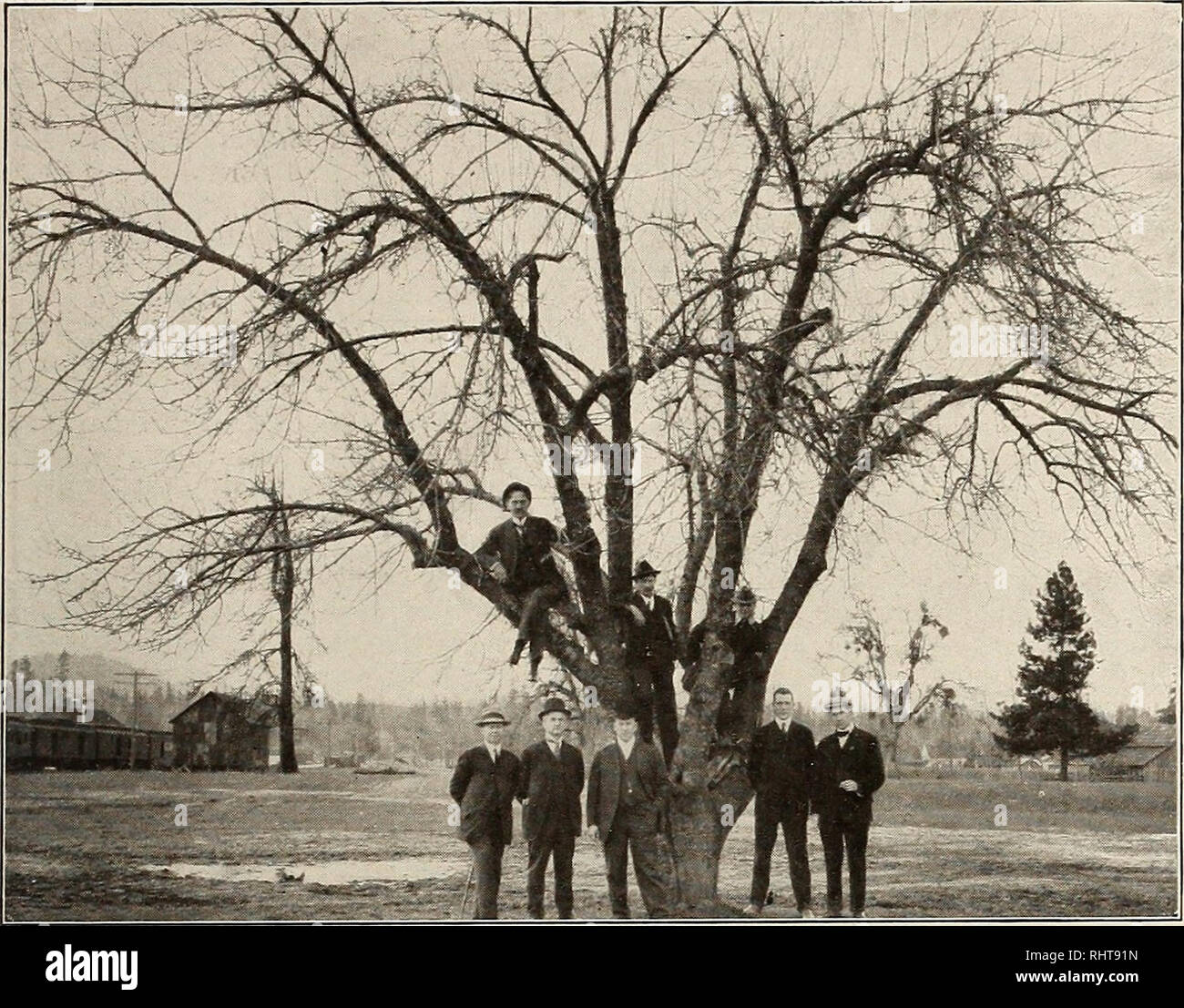 . Better fruit. Fruit-culture. BETTER FRUIT Page 37. In the Shade of the Old Apple Tree Press representatives with the Southern Oregon demonstration train at Merlin, Oregon, March 25 1900. This apple tree is now flfty-six years old and still bears fruit. Planted in 1853 by the Haines family, who were later massacred by the Indians shine and mild, pleasant winters. Dis- tricts with common factors of this kind will produce Winesaps, Spitzen- bergs, Yellow Newtowns, Arkansas Blacks, Jonathans, Grimes Golden, Rome Beauty and kindred sorts of the highest grades of apples, provid- ing good cultivati Stock Photo