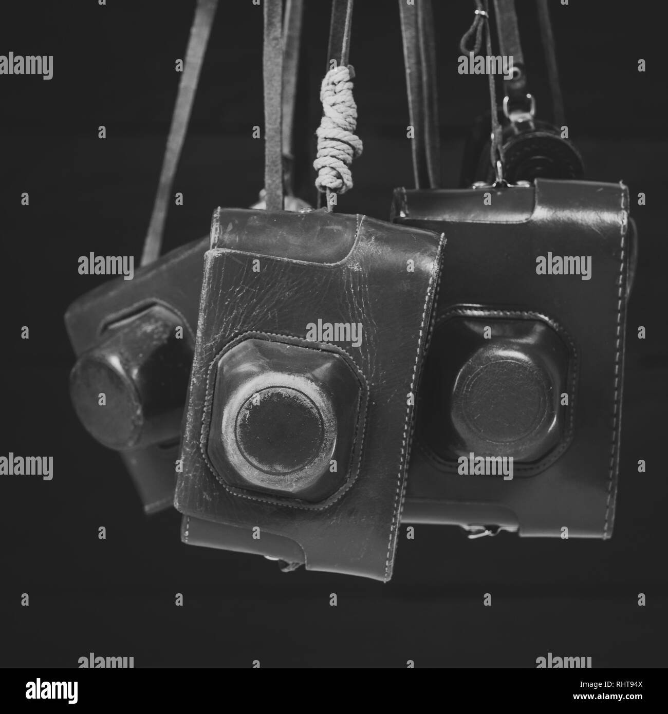 Retro cameras in leather covers, monochrome and matte effect