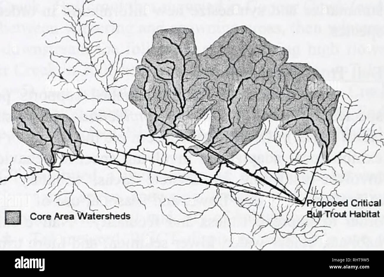. The Big Blackfoot River restoration progress report for 2002 and 2003 . Fish populations; Fishes; Fishery management; Trout fisheries; Stream ecology; Blackfoot River (Mont. ). [T^ Core Area'Watersheds Figure 2. Core area watersheds and proposed critical bull trout habitat for the Blackfoot River Watershed (excluding the Clearwater drainage). Structure throughout the watershed; 3) maintain and increase the connectivity between the Blackfoot River and its tributaries; 4) establish a baseline of redd counts in all drainages that presently support spawning migratory bull trout; and 5) maintain Stock Photo