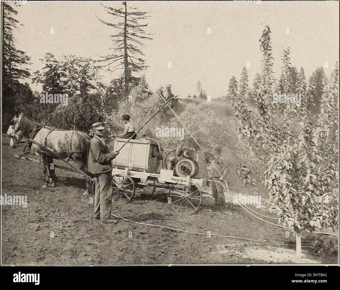Better Fruit Fruit Culture Iqii Better Fruit Page 41 This Photograph Was Taken In Mr H W Pealer S Orchard At Hood River The Sprayer Used Is The Quot New Way Quot Twin Cylinder Success