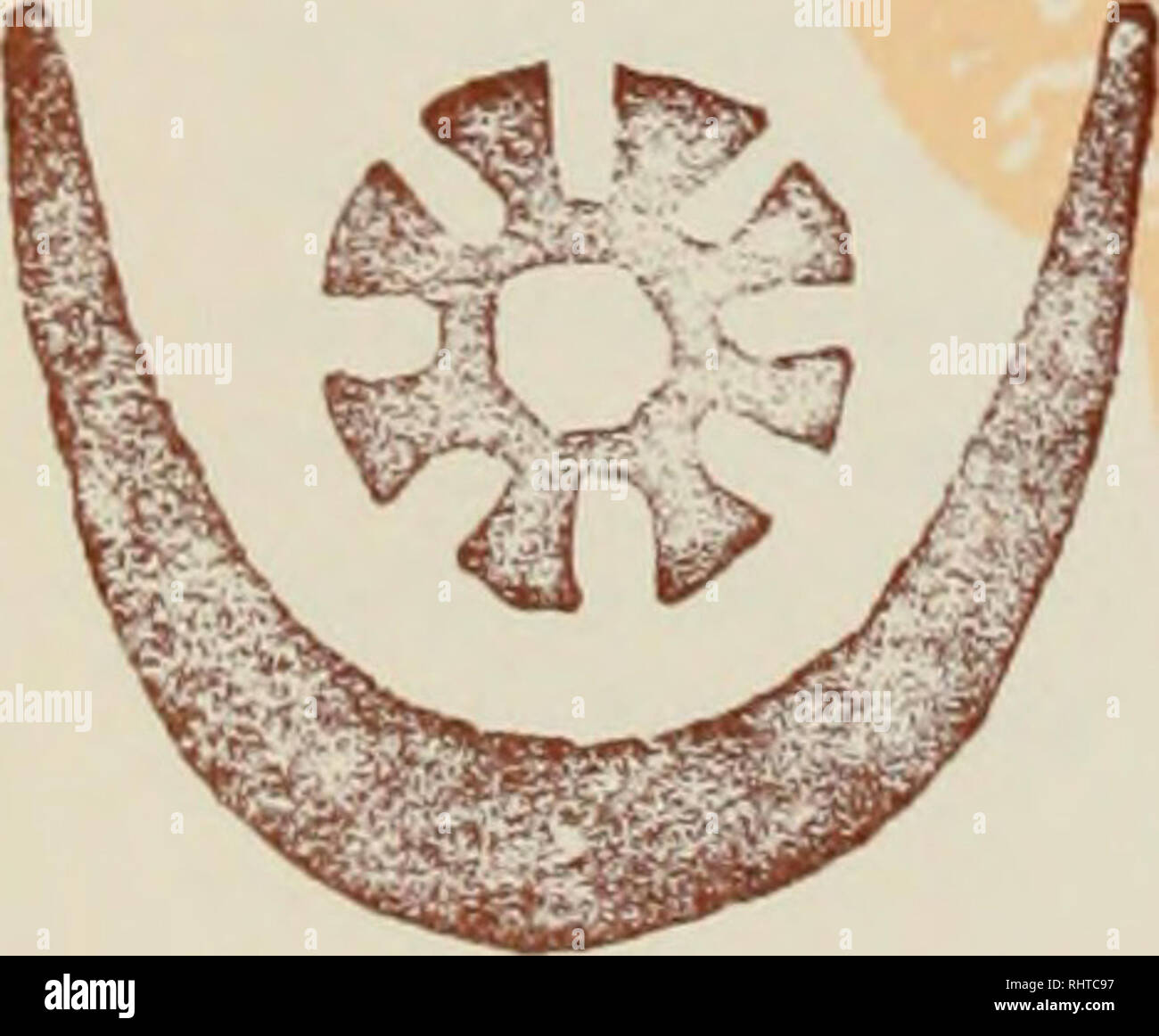 . The biennial report. Field Museum of Natural History. 42 Ford