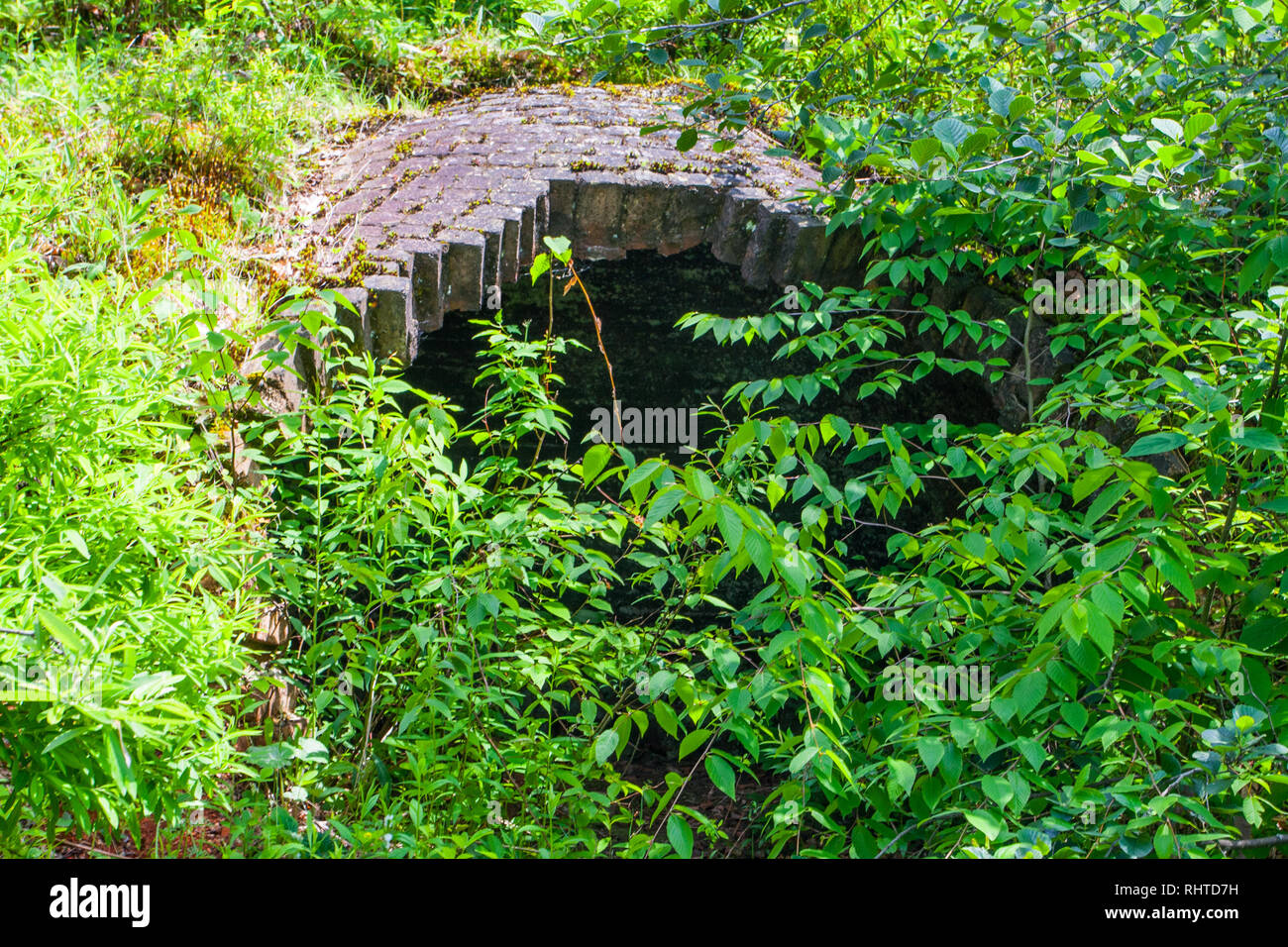 Coketown Coke Oven Ruins, Thomas, West Virginia Stock Photo