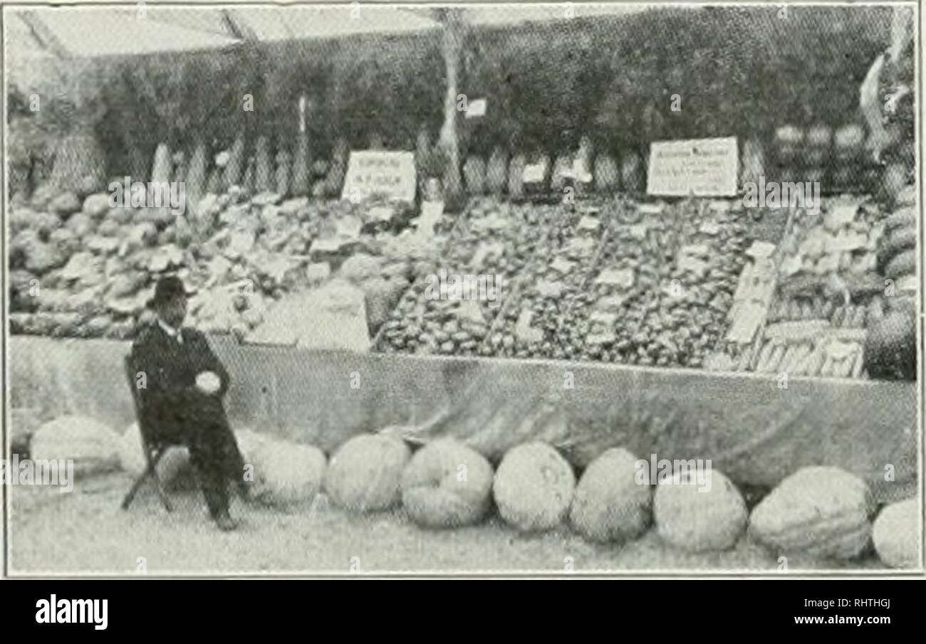 Gurney seeds deals
