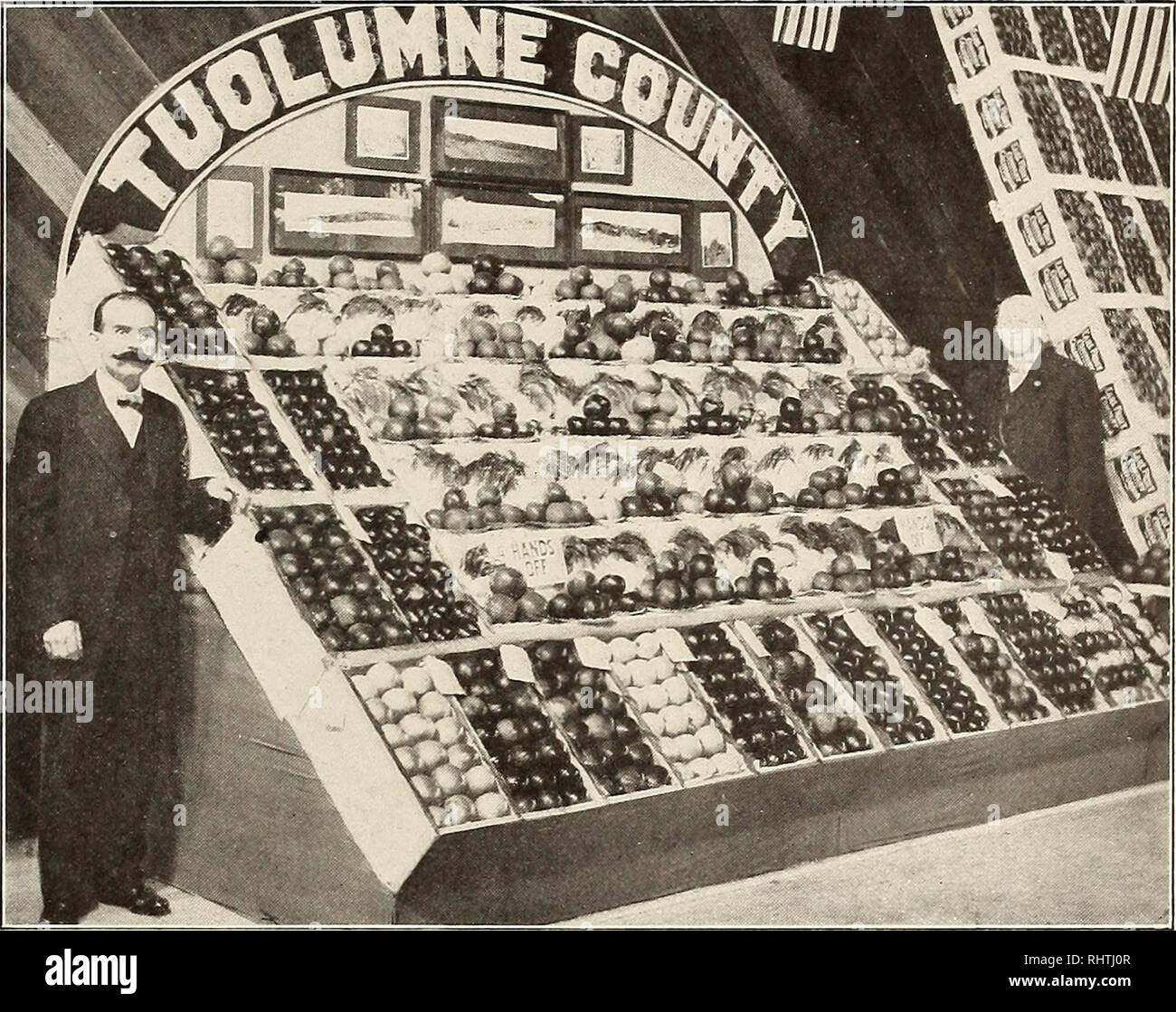 . Better fruit. Fruit-culture. igii BETTER FRUIT Page 4p three varieties shown singly, but in the prizewinning entry of mixed lots in this class there were eighteen varieties. In the unmi.ed 10-box lots there were nine- teen varieties, twenty-four in the 5-box, thirty-seve.n in the 1-box and eighty in the plate exhibits. Fifteen counties were represented, ranging from Modoc, in the extreme northeast corner of the state, southward seven hundred miles to Los Angeles, and the fact that to exhibitors from counties lying wholly outside of the Pajaro Valley and the apple district centering in Wat-  Stock Photo