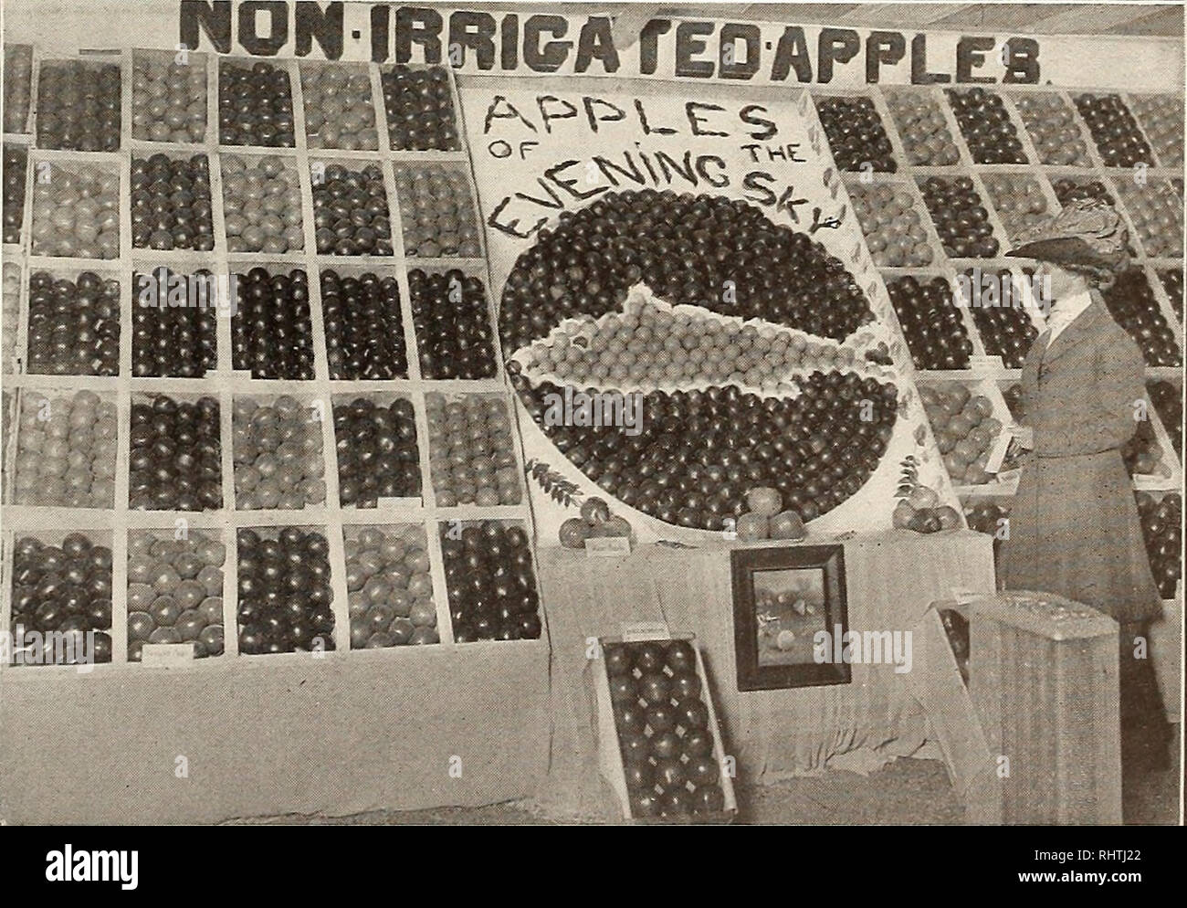 American prize fruit hires stock photography and images Alamy