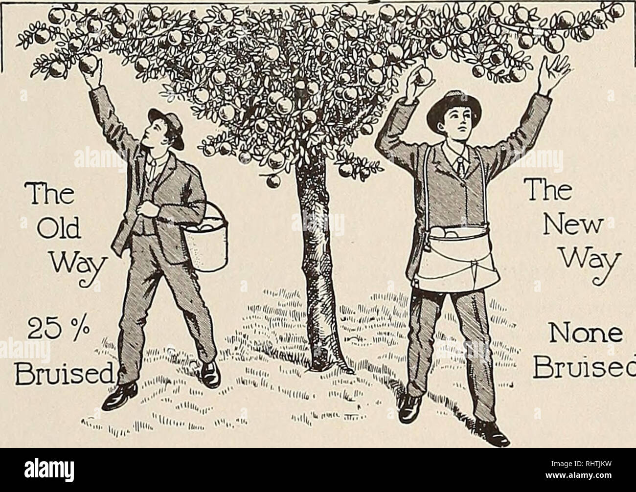 . Better fruit. Fruitculture. Commission Merchants Fruit CO. W SOME OF