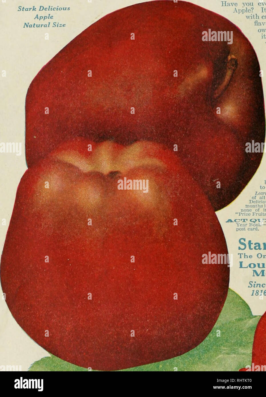 Better Fruit Fruit Culture Why One Apple Leads The World Growers Of America S Proudest Fruit Productionathe Great Red Stark Deucious Appleaare Banking Truly Amaz Ing Crop Profits These Days Chris Ringhausen The