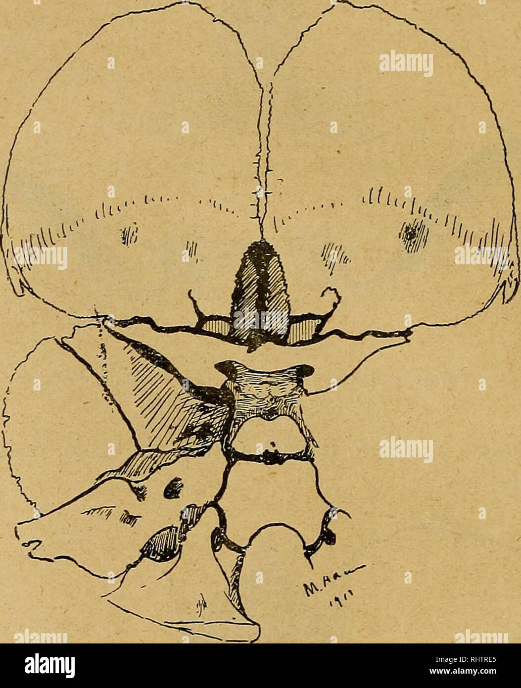 page 2 vieillards high resolution stock photography and images alamy