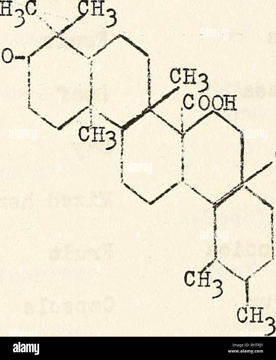 Bibliography Of Organic Acids In Higher Plants Organic Acids Bibliography Aliphatic Compounds Bibliography Botanical Chemistry Bibliography Family Umbelliferae Vitaceae 61 Genus Quot And Species Source Angelica Archangelica Root Vii Is