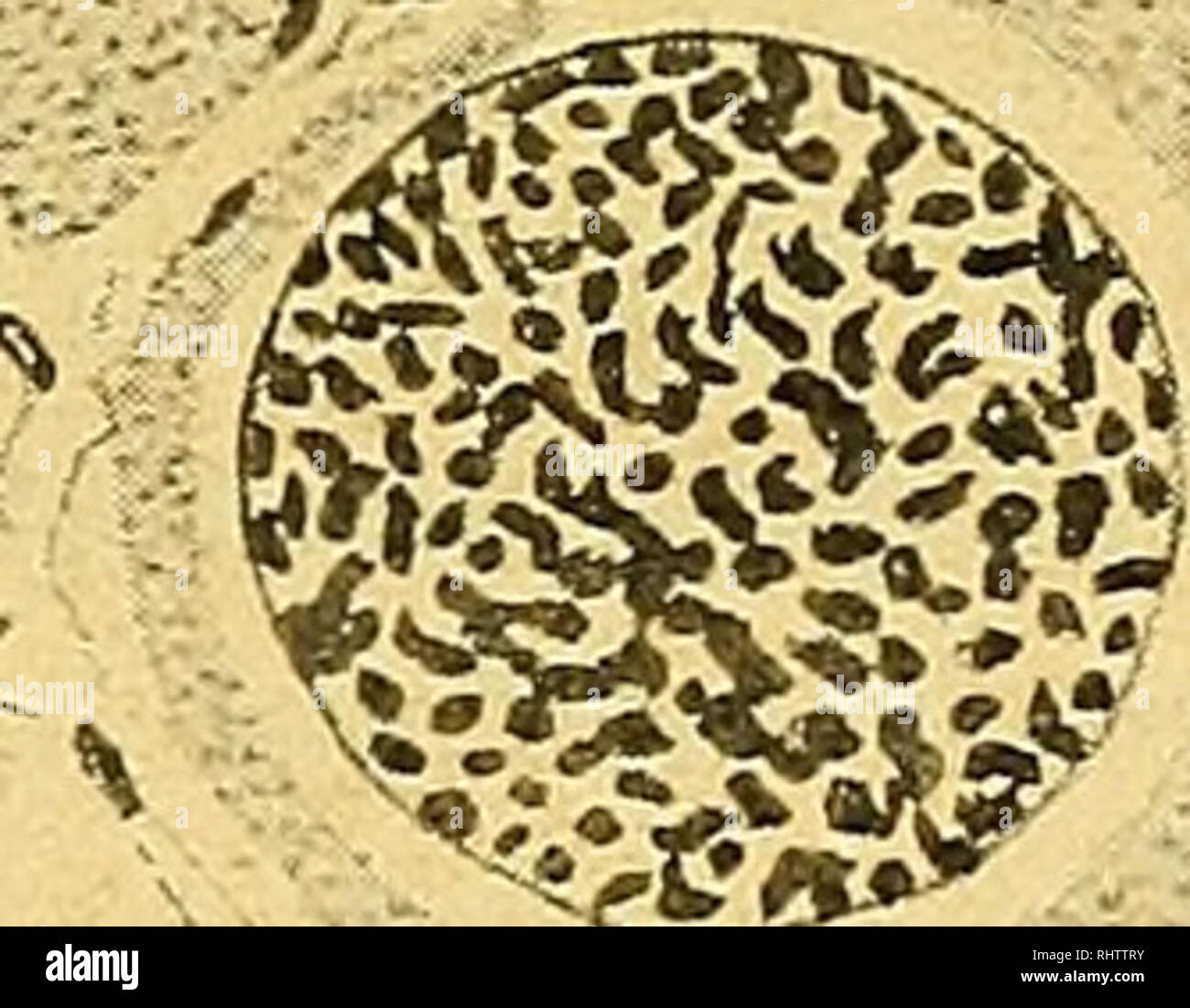 Rytir High Resolution Stock Photography And Images Alamy Rytir High Resolution Stock Photography And Images Alamy