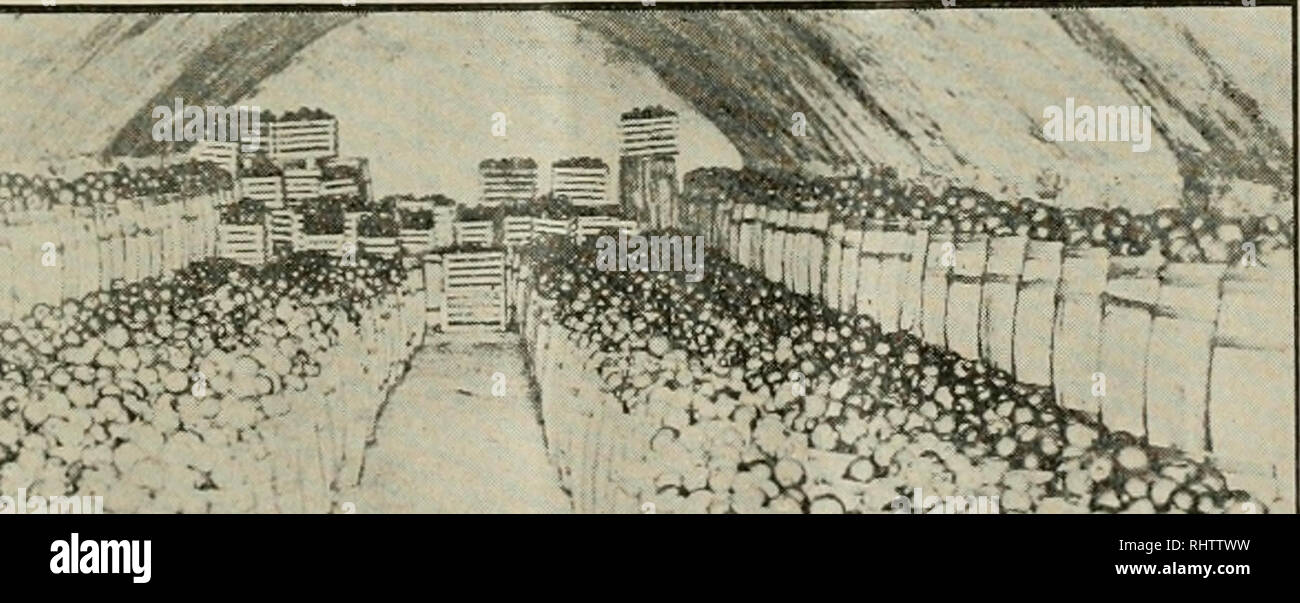 Better Fruit Fruit Culture Fruit And Vegetable Storage Cellar Extei Ior View This Illustration Gives View