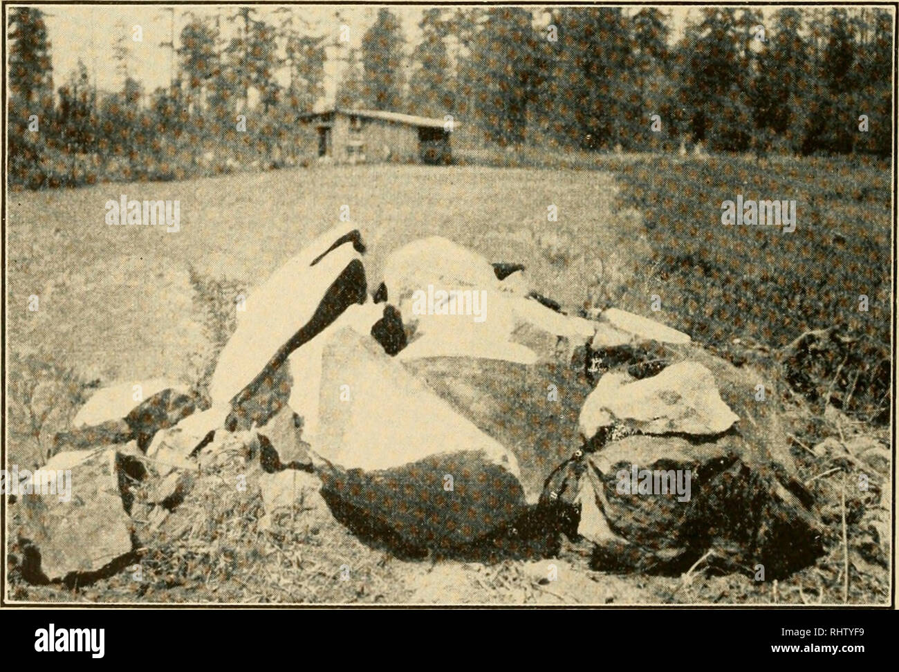 Better Farming With Atlas Farm Powder The Safest Explosive The Original Farm Powder Explosives In Agriculture Better Farming With Atlas Farm Powder The Breakage Desired Atlas Farm Powder Will Break Rocks Better Farming With Atlas Farm Powder The Safest Explosive The Original Farm Powder Explosives In Agriculture Better Farming With Atlas Farm Powder The Breakage Desired Atlas Farm Powder Will Break Rocks