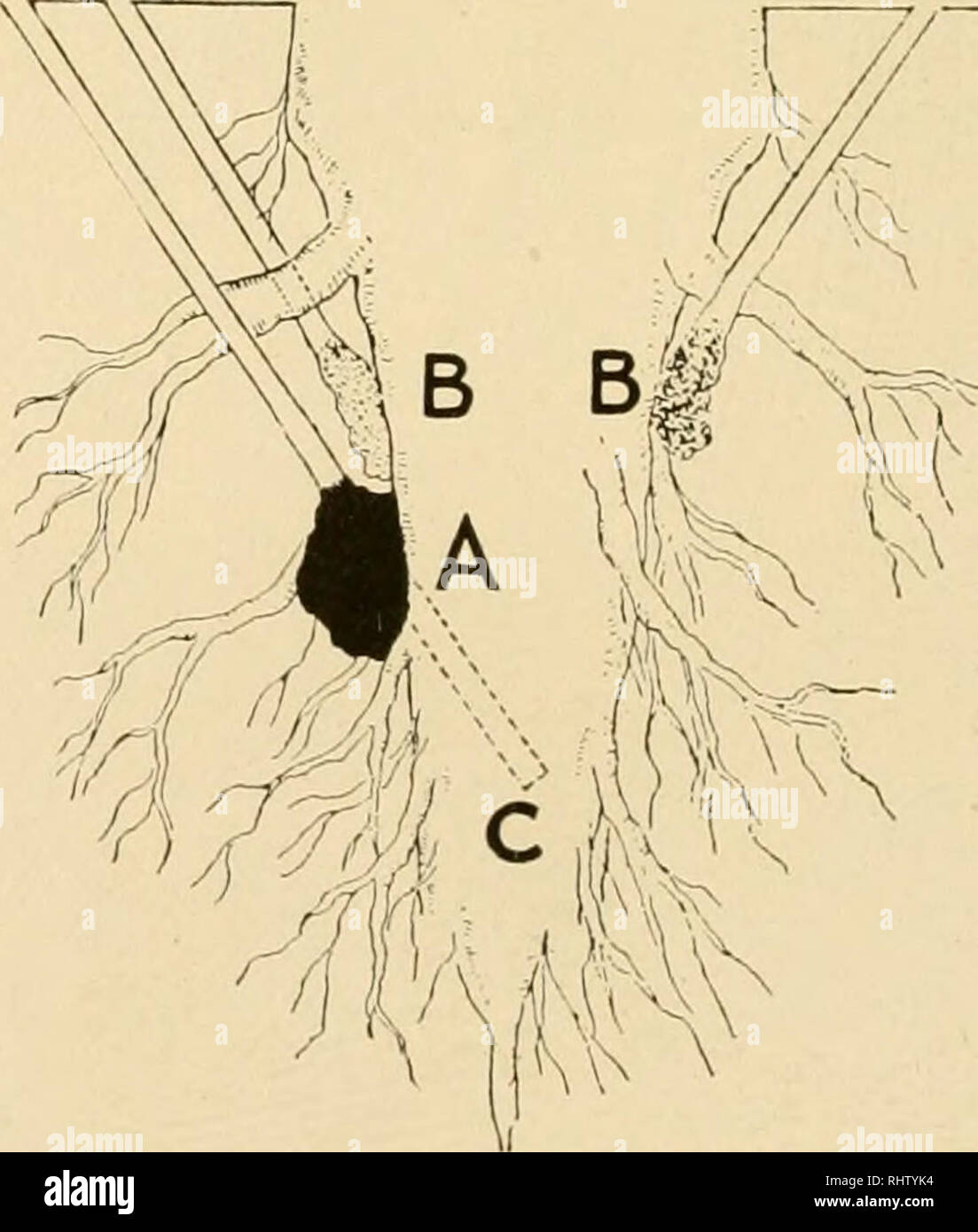 . Better farming with Atlas farm powder, the safest explosive, the ...
