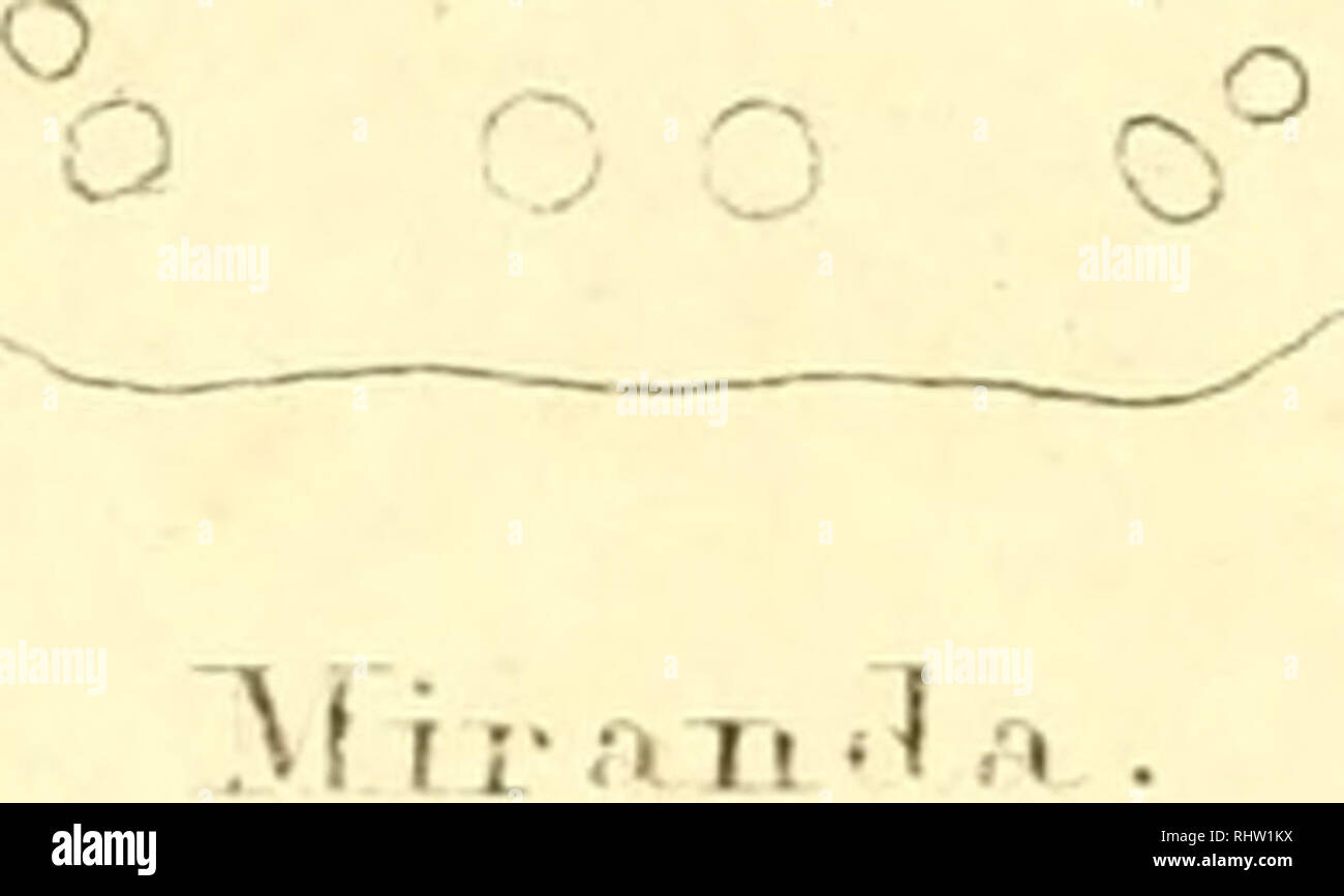 O Oy N A High Resolution Stock Photography And Images Alamy