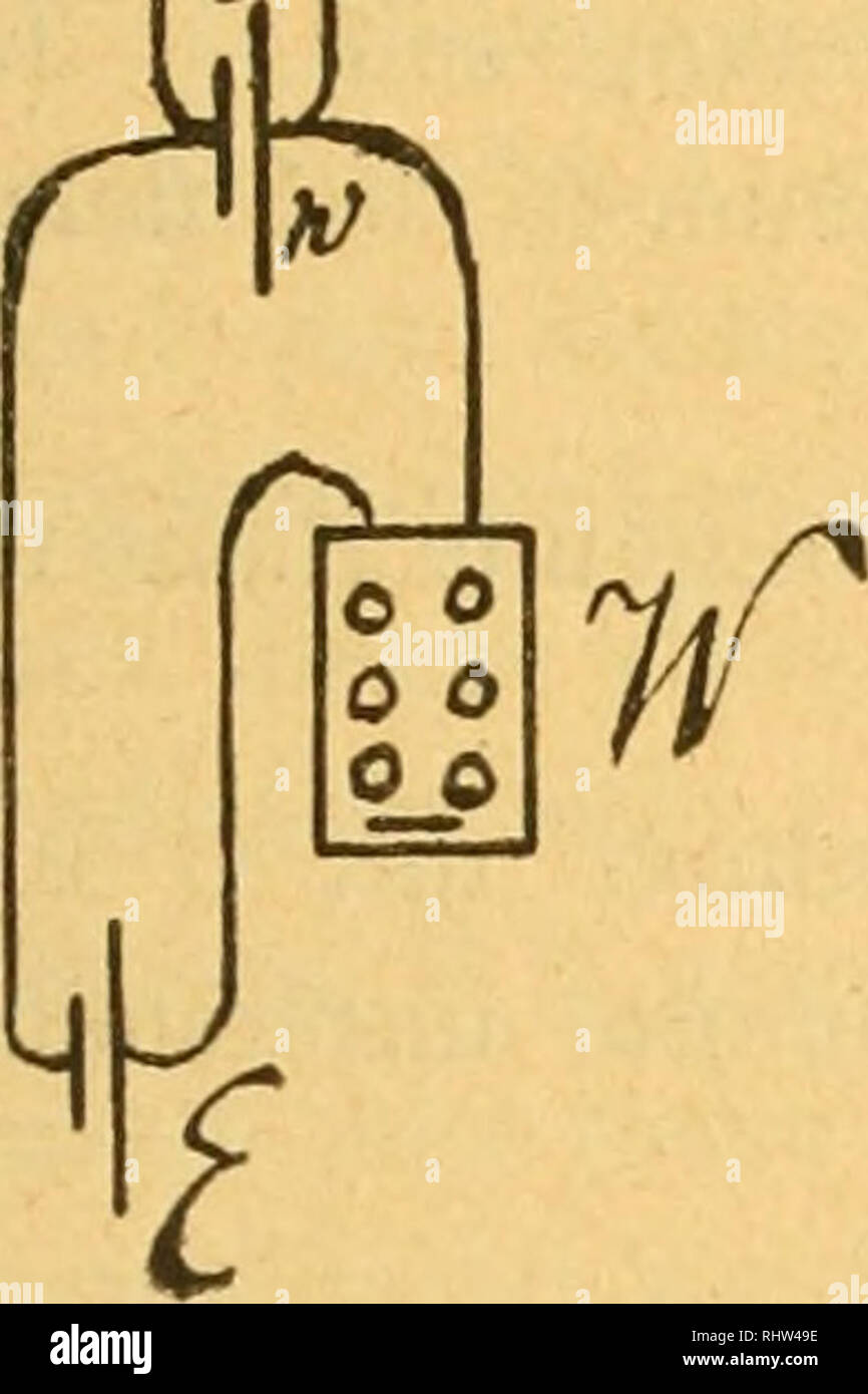 Page 3 E4 1 High Resolution Stock Photography And Images Alamy