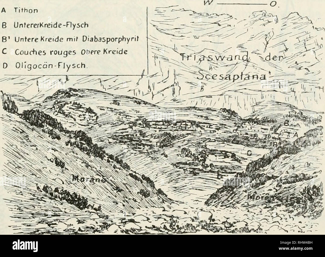 Berichte Der Naturforschenden Gesellschaft Zu Freiburg I Br Science Gt Ca A Tittion Ralhnjibreccie U Grauekolke Mil B Muschelkalk Gt Imjby C Unlere Kreide X Trisfelbreccie T Quot Tii O 55 Il D Couchei Vougei