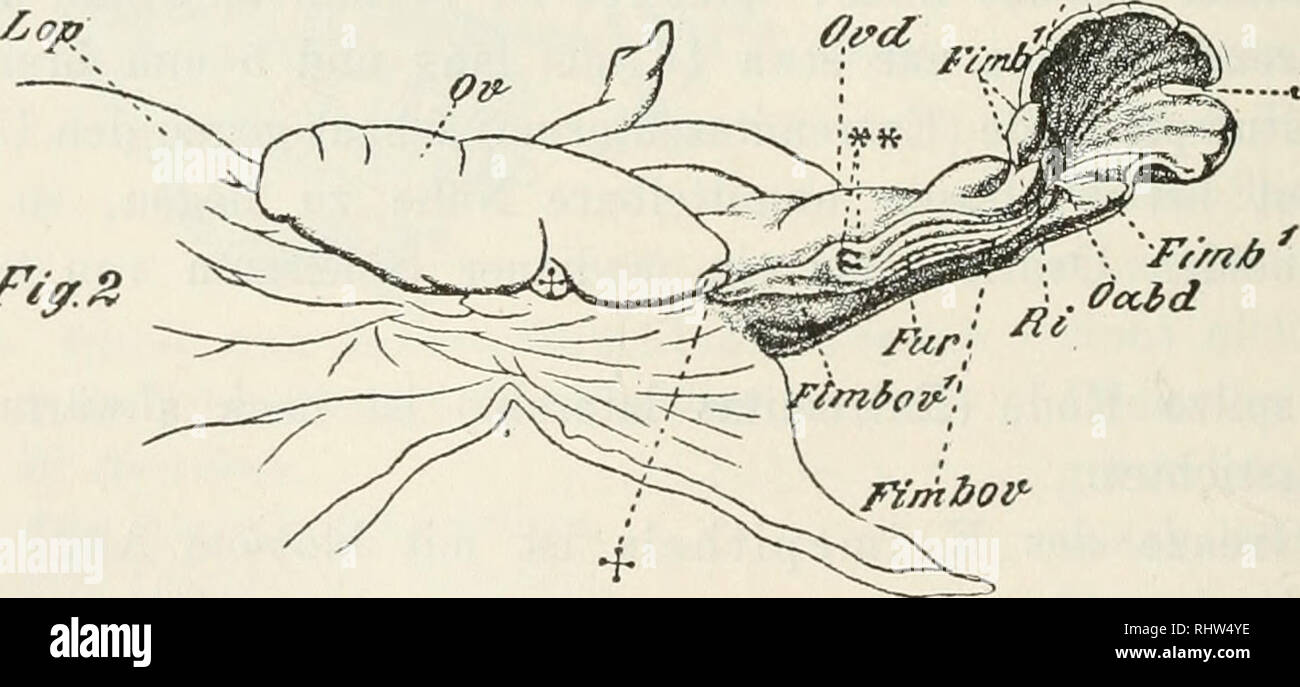 . Berichte der Naturforschenden Gesellschaft zu Freiburg i. Br. Science
