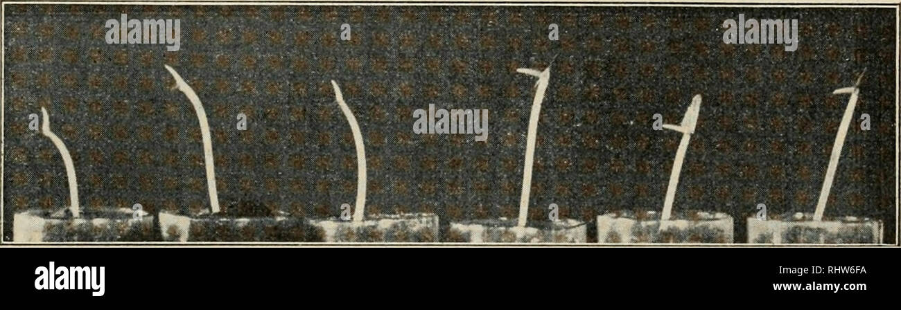 Abschleifen -Fotos und -Bildmaterial in hoher Auflösung – Alamy