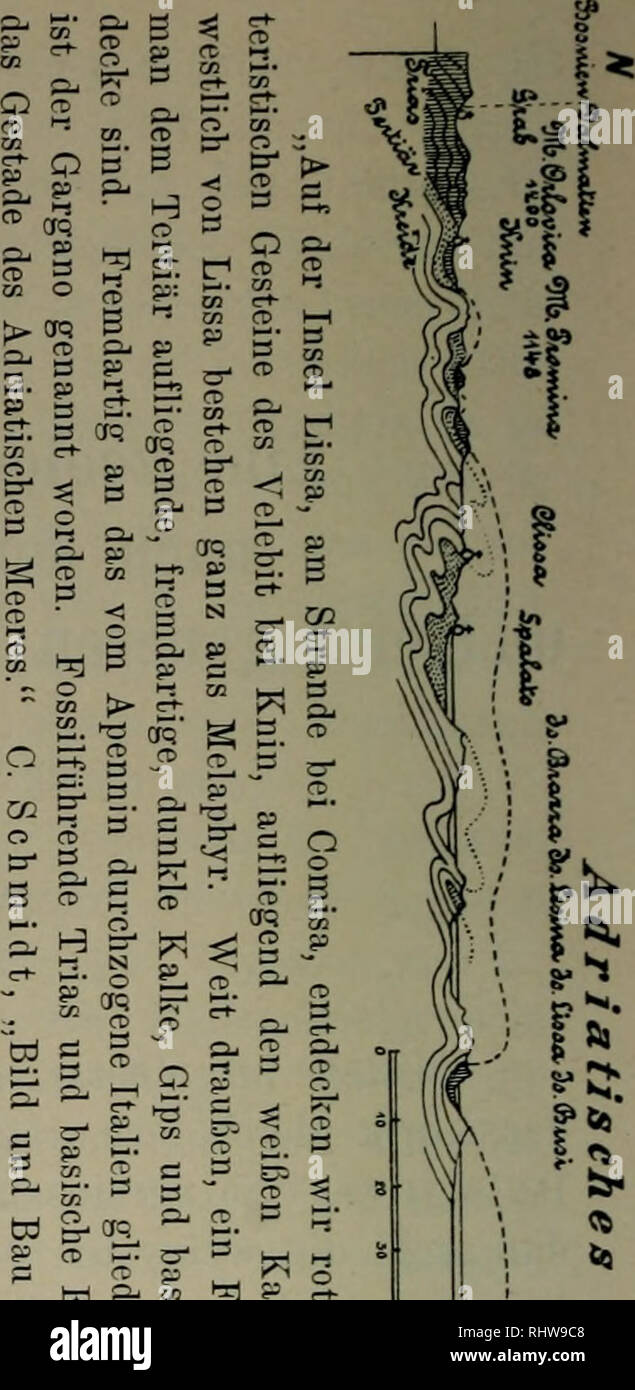 Bericht Der Senckenbergischen Naturforschenden Gesellschaft In Frankfurt Am Main Natural History S 3 O Hc O T Gt G H Hj Hj Cp Hj O Lt R So A H Cu