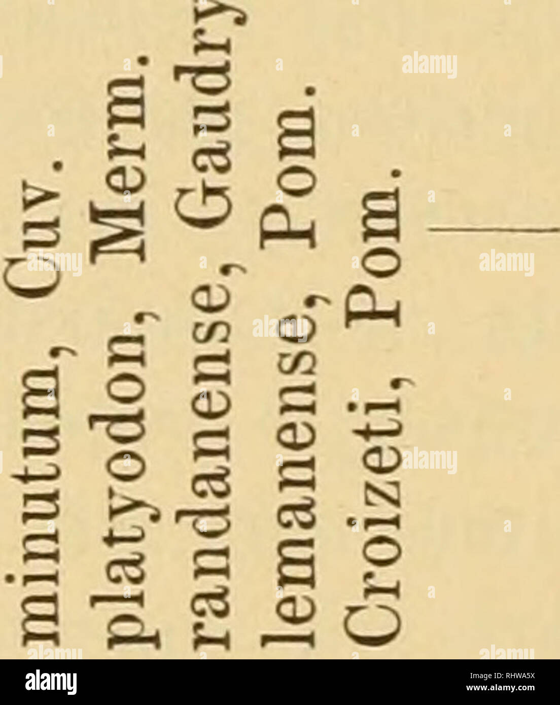 Ts And Cs High Resolution Stock Photography And Images Alamy