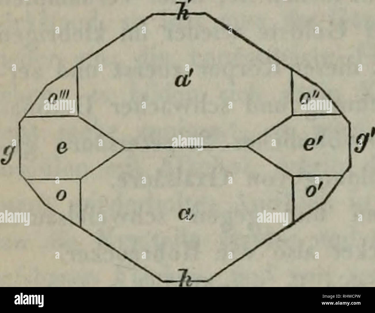 . Bericht über die zur Bekanntmachung geeigneten Verhandlungen der Konigl.Preuss.Akademie der Wissenschaften zu Berlin. genealogy. h M M : S : h : m.'2 h 6' 3' 57' ml. S M = U5= = 124° = 90° = 71° 10' = 125° 35' a' = 116° 32' h = 121° 44' M = 115° 32' e' = 124° 54' = 117° 33' = 95° 22' 132° 19' o : o' = 134° 38' o : a = 157^ 19' o : o&quot; = 113° 1' o : e = 146° 304- Die Flächen o und e kommen so selten vor, dafs es bisher nicht möglich war zu entscheiden, ob sie an einem und demselben Kry- stall alle zusammen vorkommen oder nur zur Hälfte. Längere Zeit einer Tempera- tur von 100° in einem Wa Stock Photo